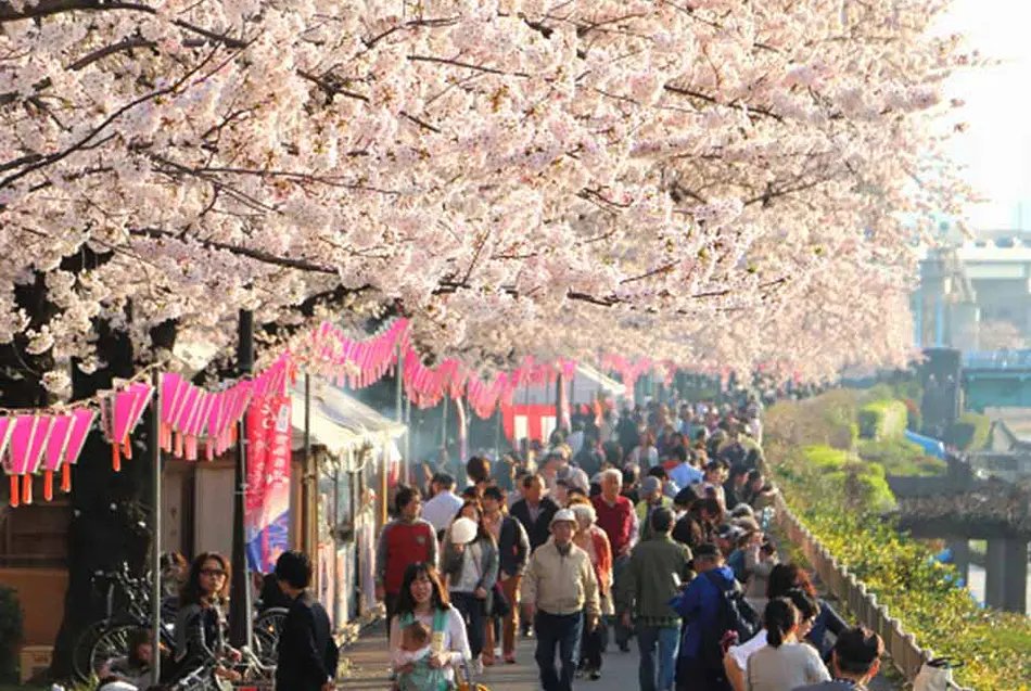 🌳 신코이와 공원 (신코이와 코엔) 이미지 8